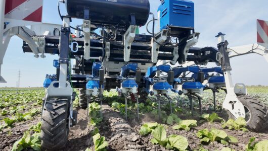 Precision Weeding